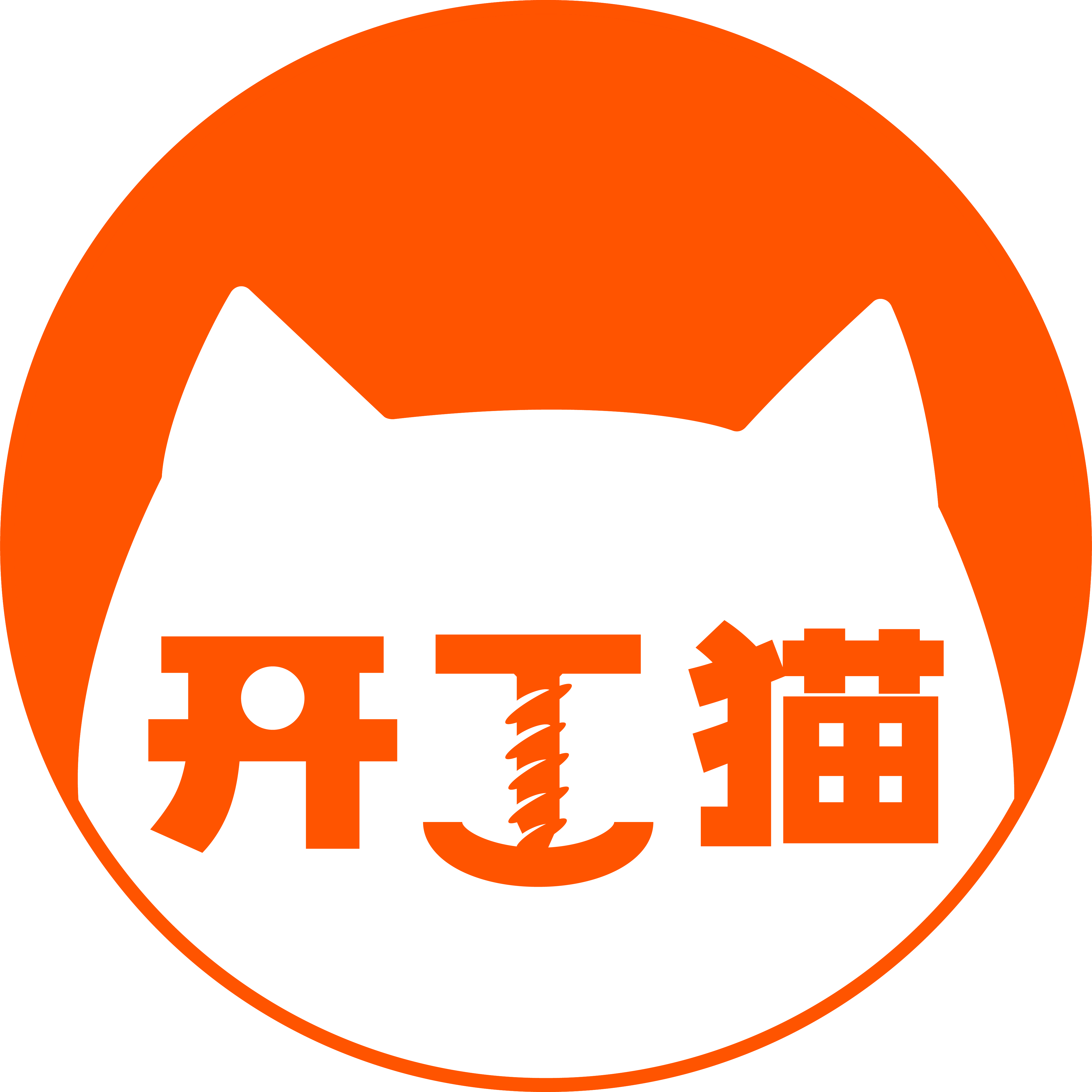 开工猫